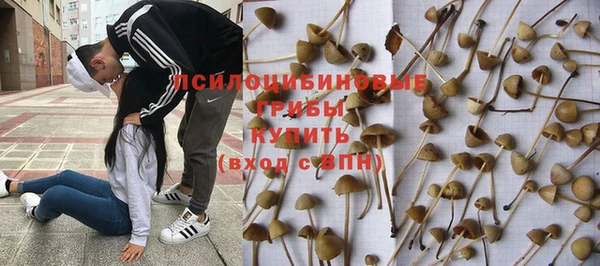 прущая мука Заволжье